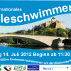 Flyer-Entwurf- 2012-01-25 S1